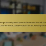 Challenges Faced by Participants in International Youth Forums: Cultural Barriers, Communication Issues, and Adaptation