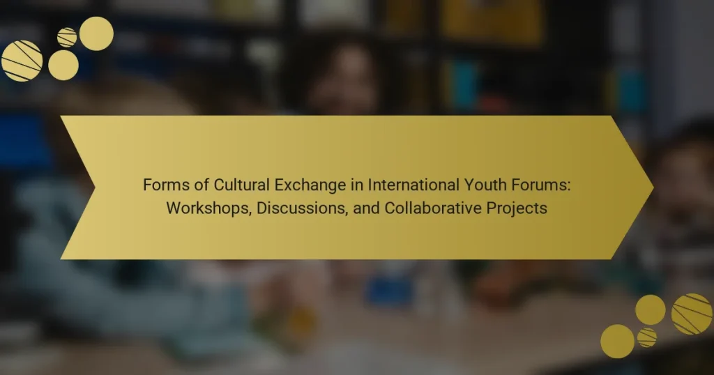 Forms of Cultural Exchange in International Youth Forums: Workshops, Discussions, and Collaborative Projects