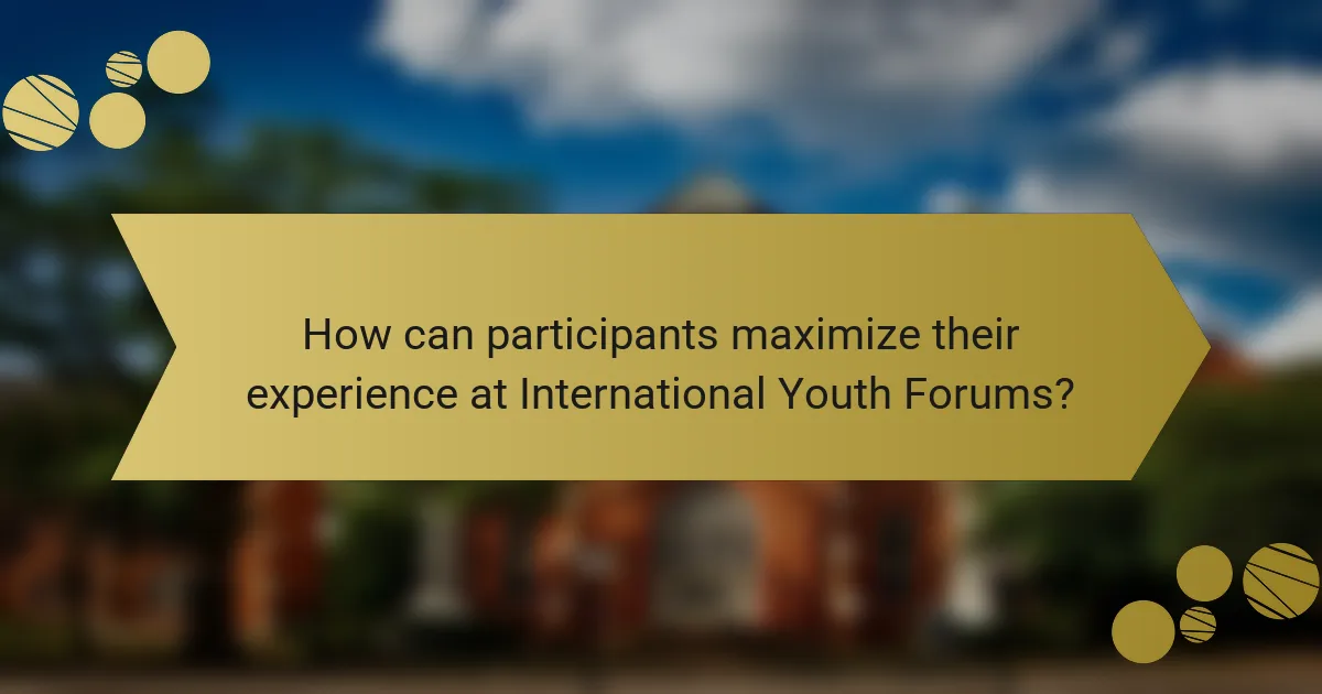 How can participants maximize their experience at International Youth Forums?