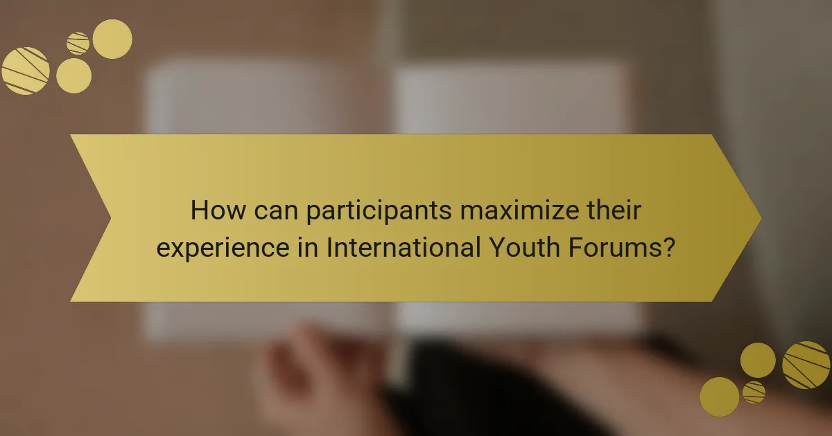 How can participants maximize their experience in International Youth Forums?