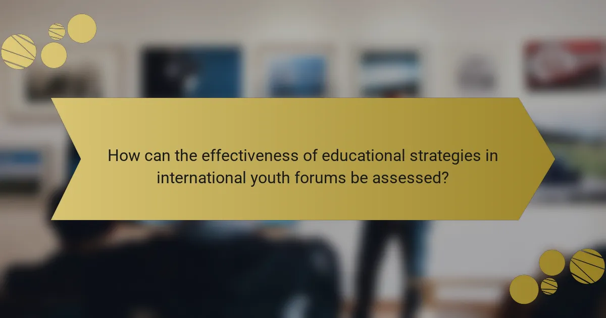 How can the effectiveness of educational strategies in international youth forums be assessed?