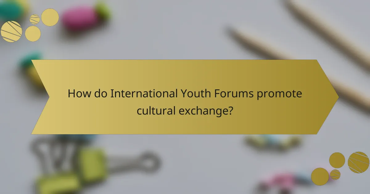 How do International Youth Forums promote cultural exchange?