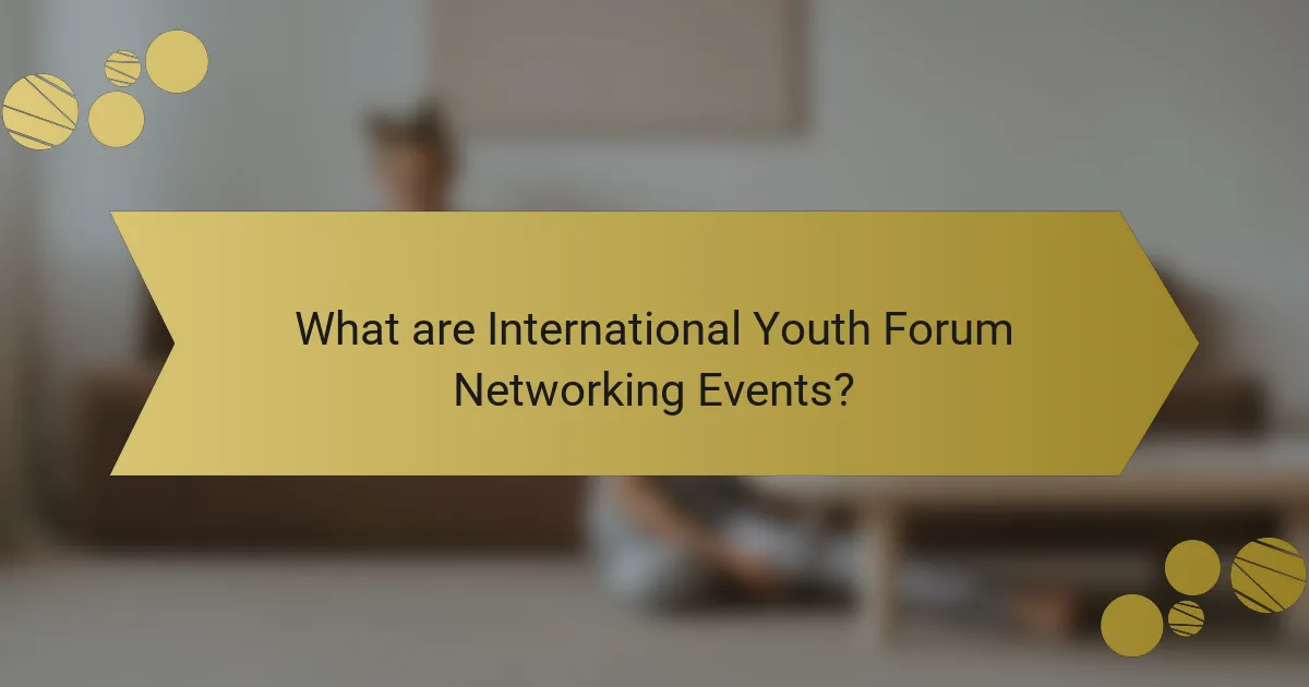 What are International Youth Forum Networking Events?
