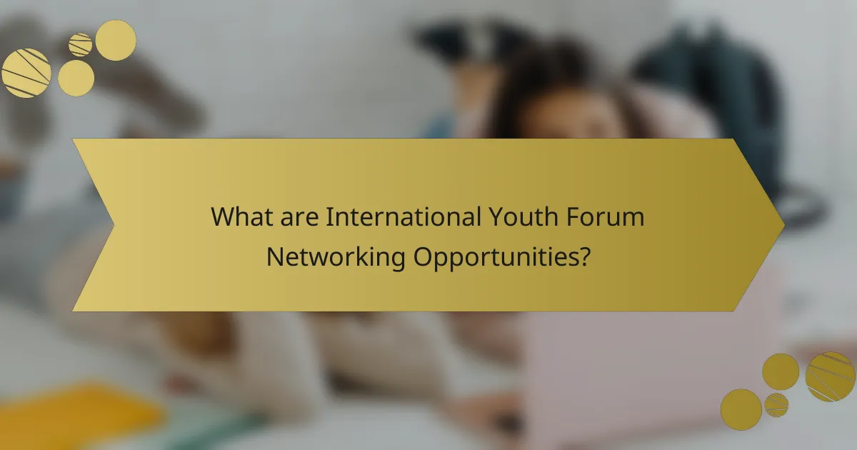 What are International Youth Forum Networking Opportunities?