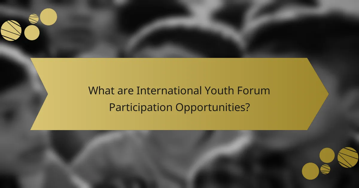 What are International Youth Forum Participation Opportunities?