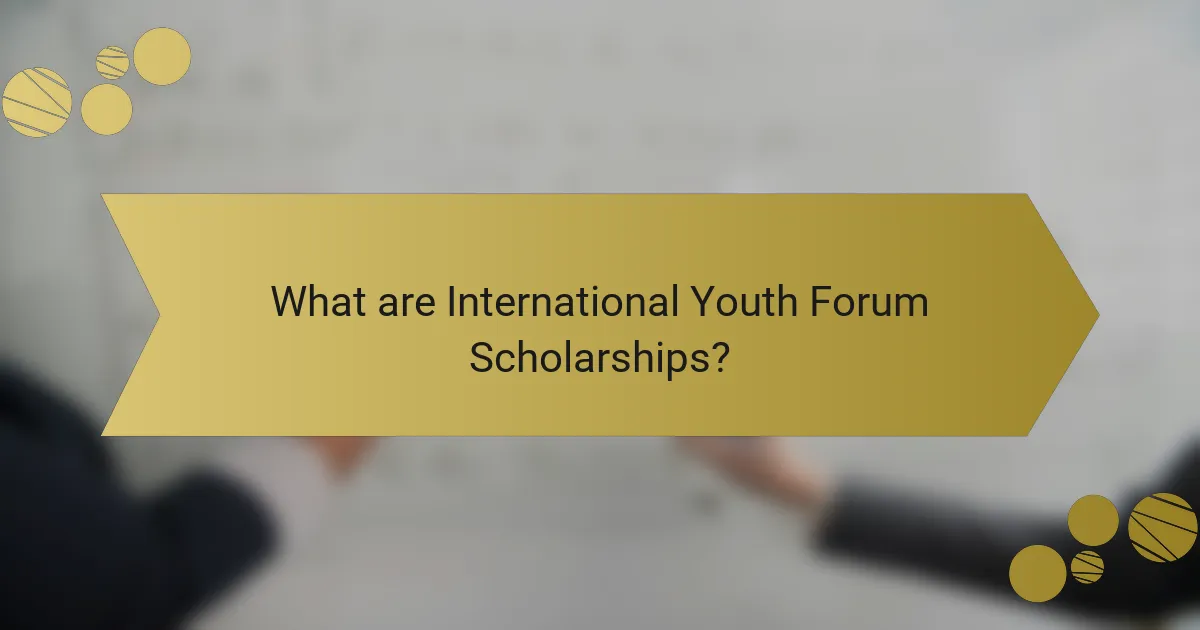 What are International Youth Forum Scholarships?