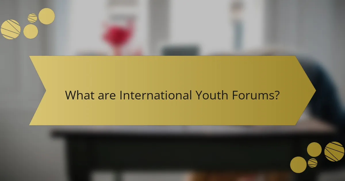What are International Youth Forums?