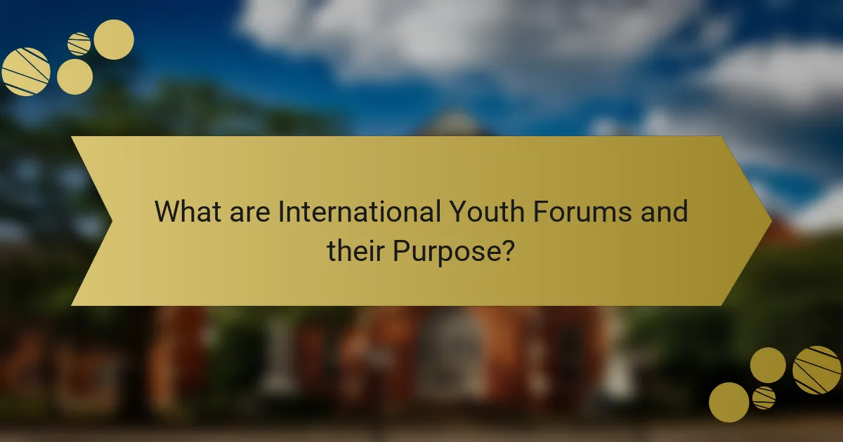 What are International Youth Forums and their Purpose?