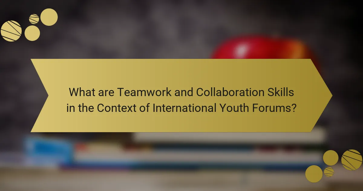 What are Teamwork and Collaboration Skills in the Context of International Youth Forums?
