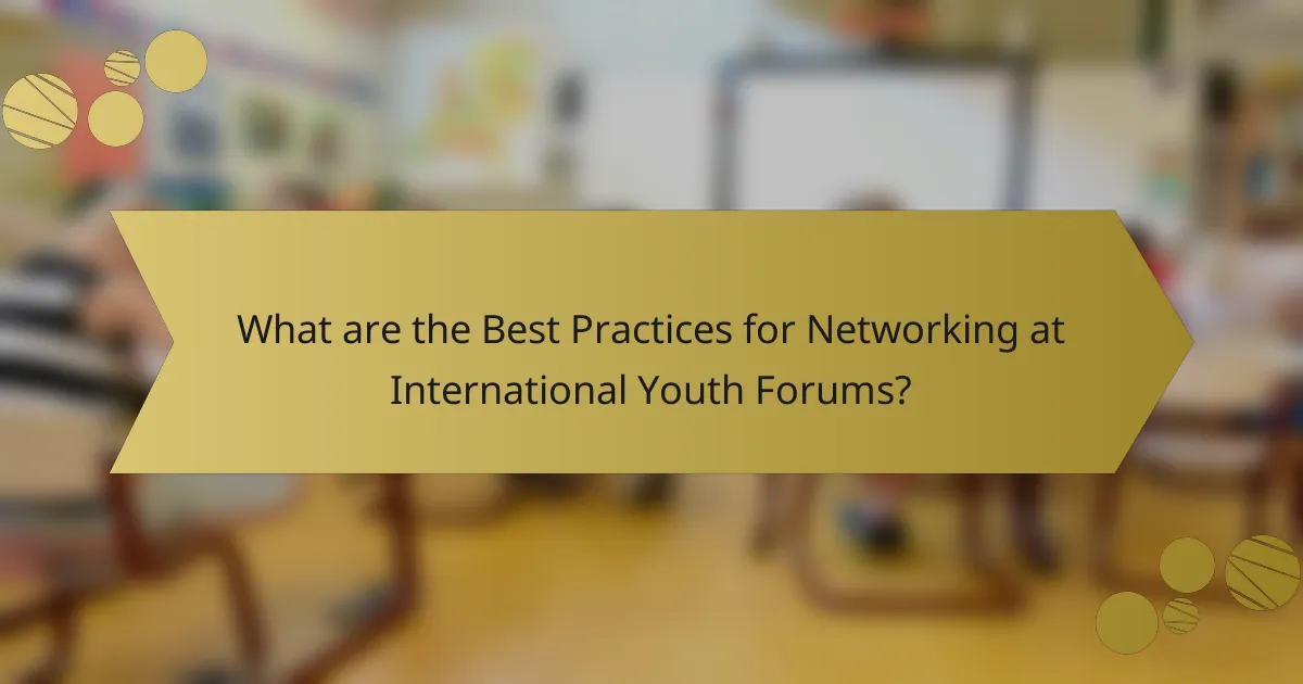 What are the Best Practices for Networking at International Youth Forums?
