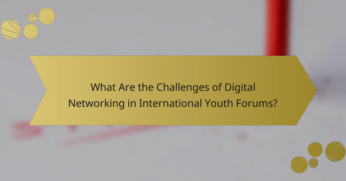 What Are the Challenges of Digital Networking in International Youth Forums?