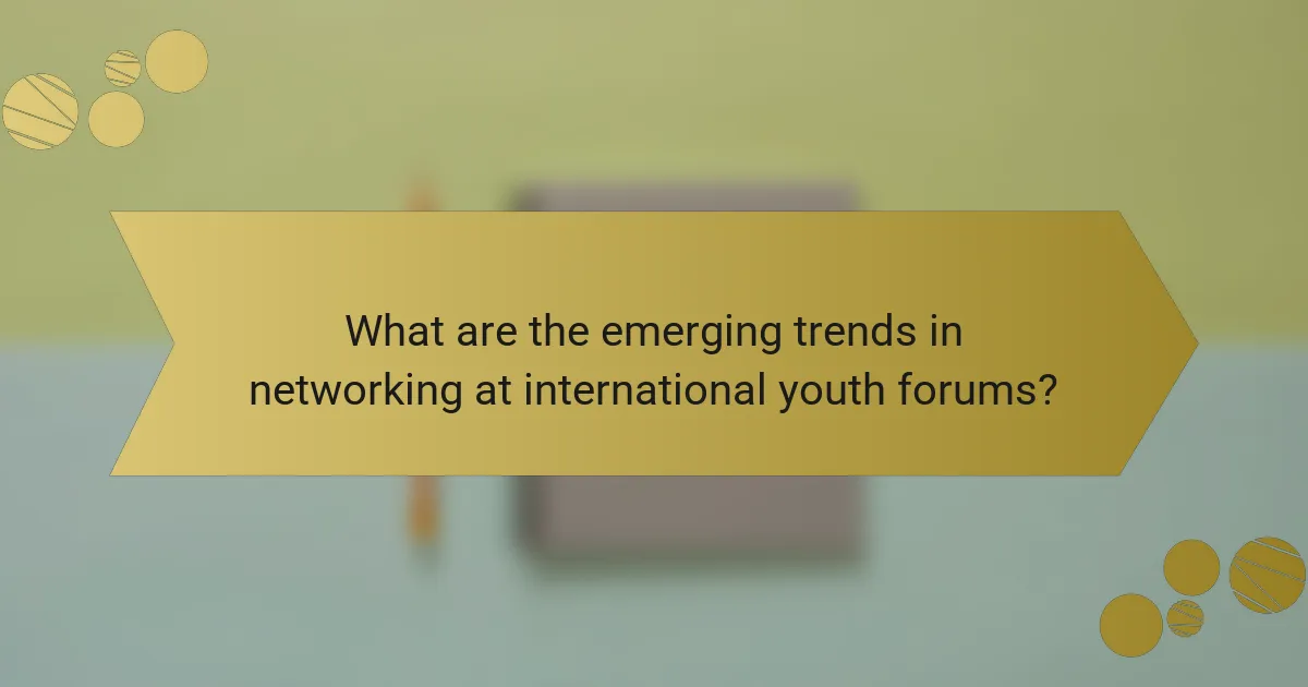 What are the emerging trends in networking at international youth forums?
