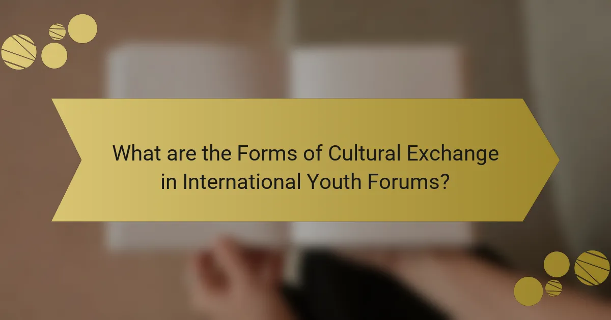 What are the Forms of Cultural Exchange in International Youth Forums?
