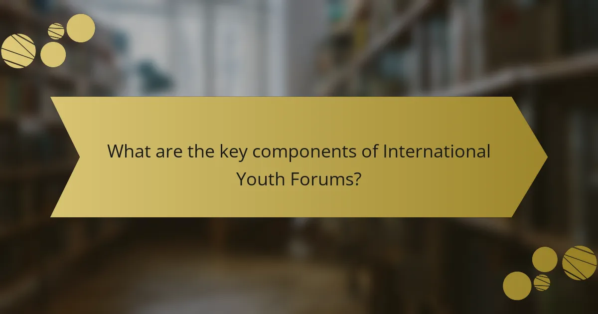 What are the key components of International Youth Forums?