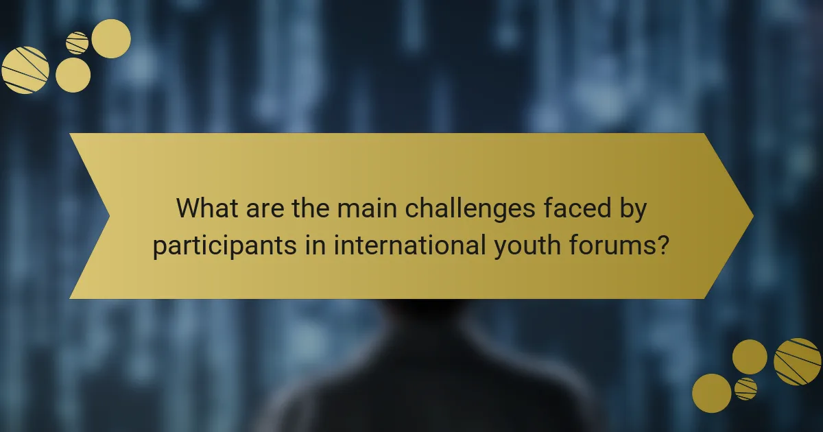 What are the main challenges faced by participants in international youth forums?