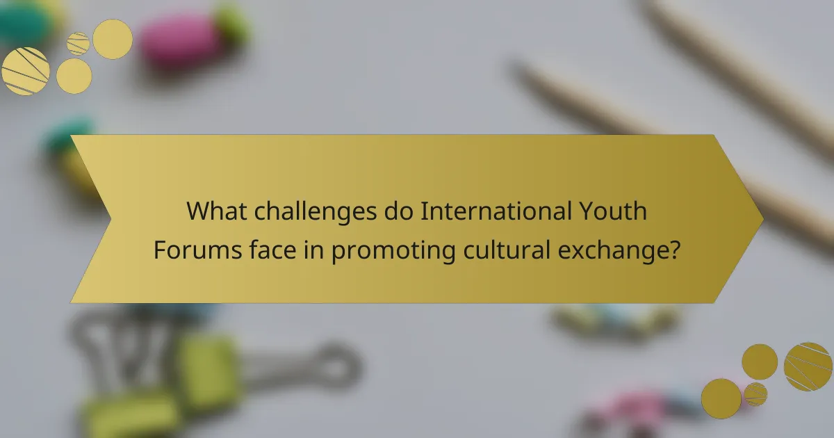 What challenges do International Youth Forums face in promoting cultural exchange?