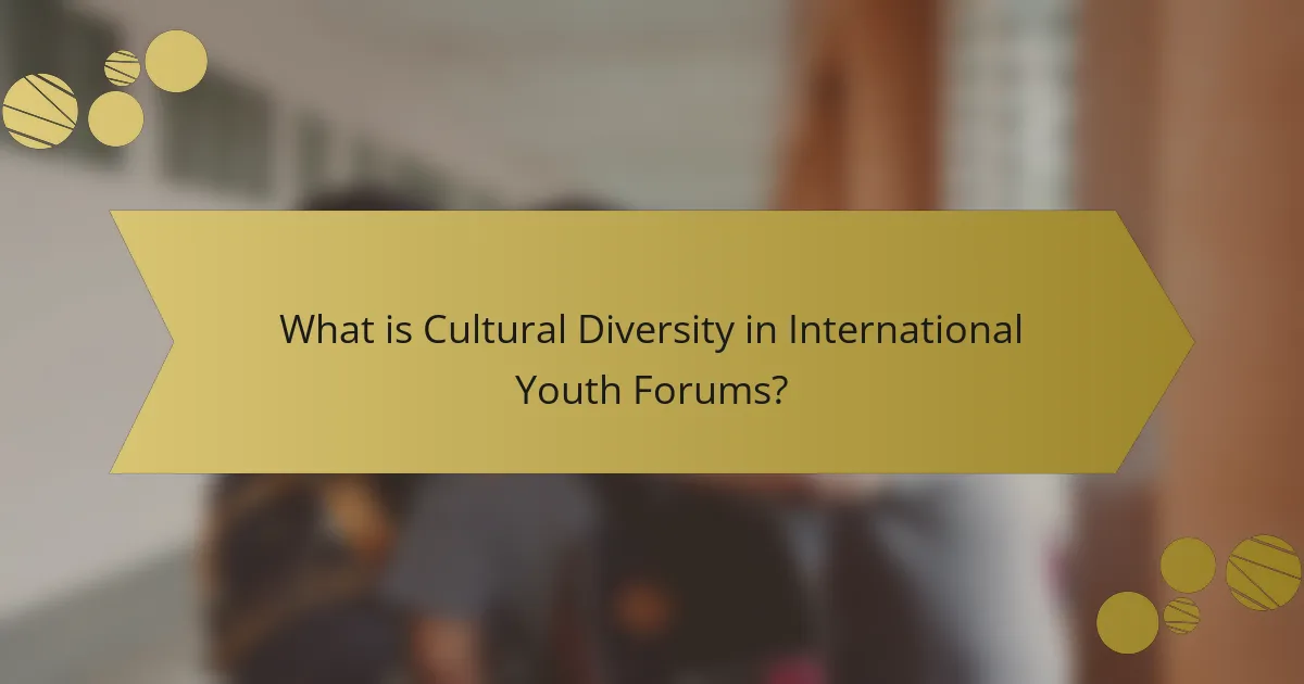 What is Cultural Diversity in International Youth Forums?