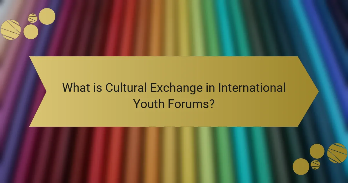 What is Cultural Exchange in International Youth Forums?
