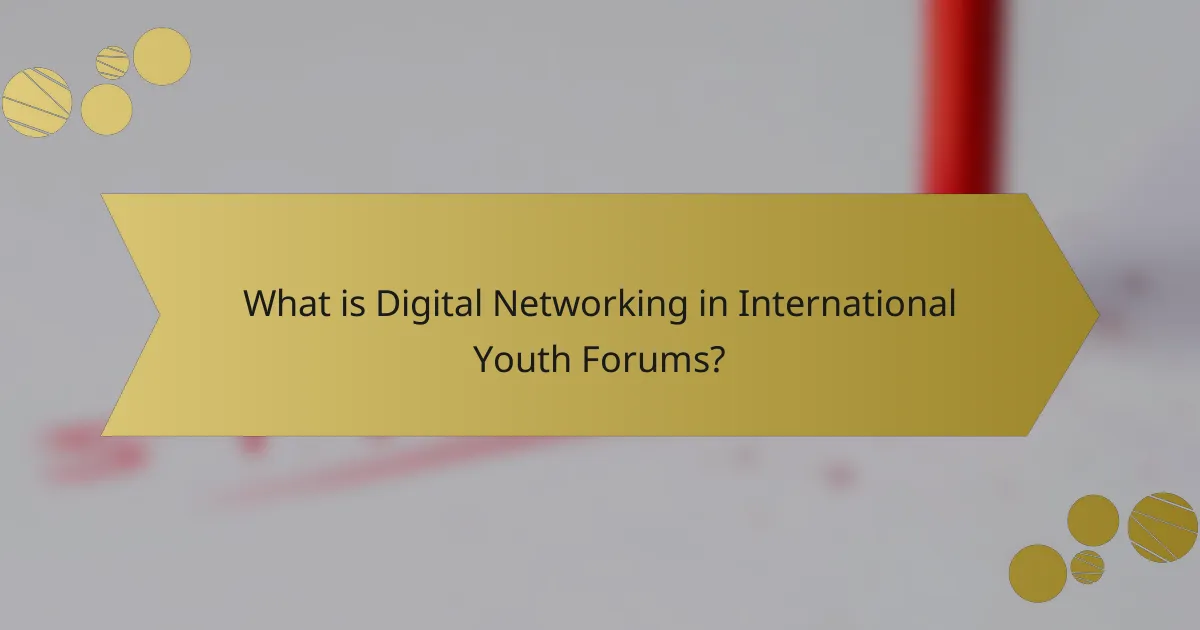 What is Digital Networking in International Youth Forums?