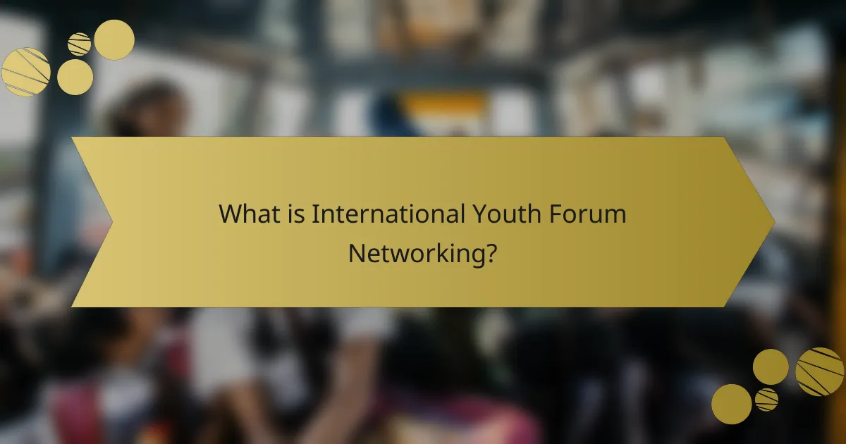 What is International Youth Forum Networking?