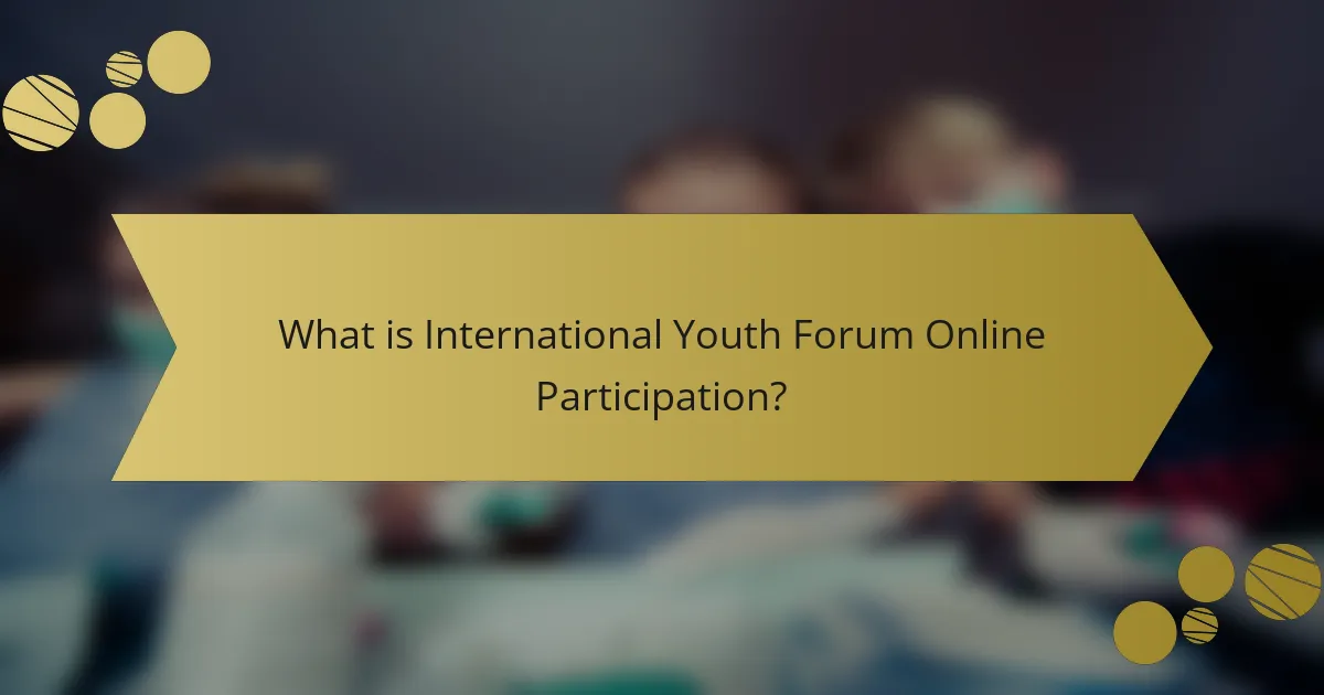 What is International Youth Forum Online Participation?