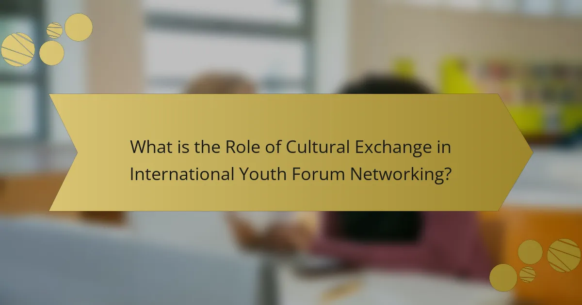 What is the Role of Cultural Exchange in International Youth Forum Networking?