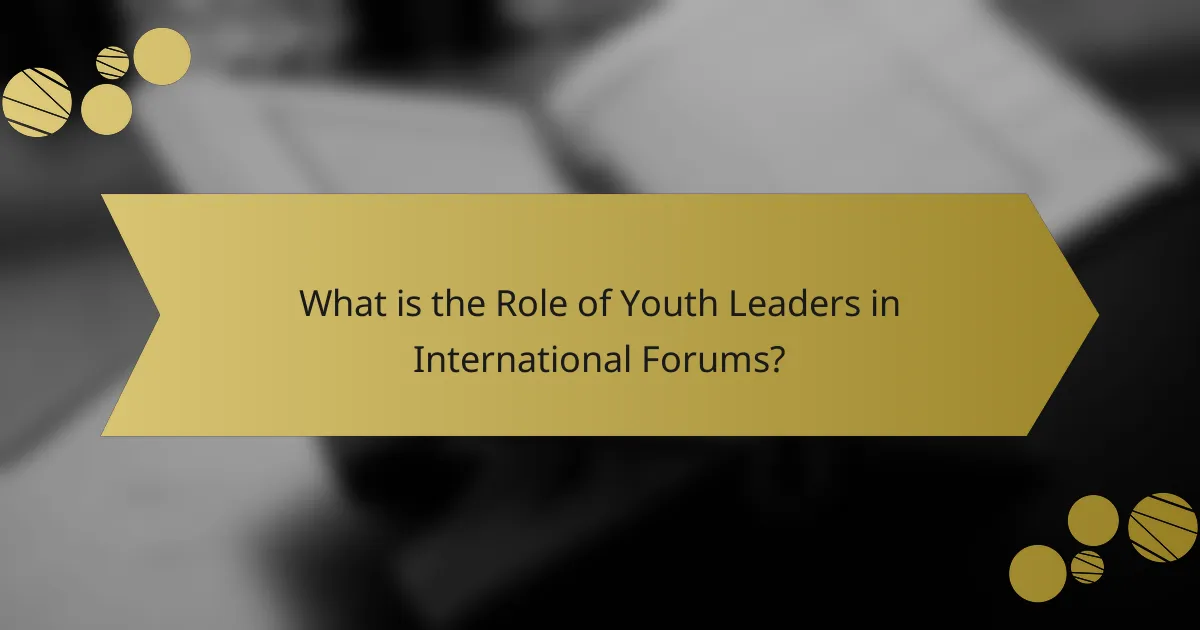 What is the Role of Youth Leaders in International Forums?