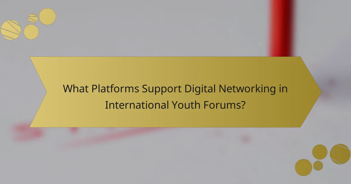 What Platforms Support Digital Networking in International Youth Forums?