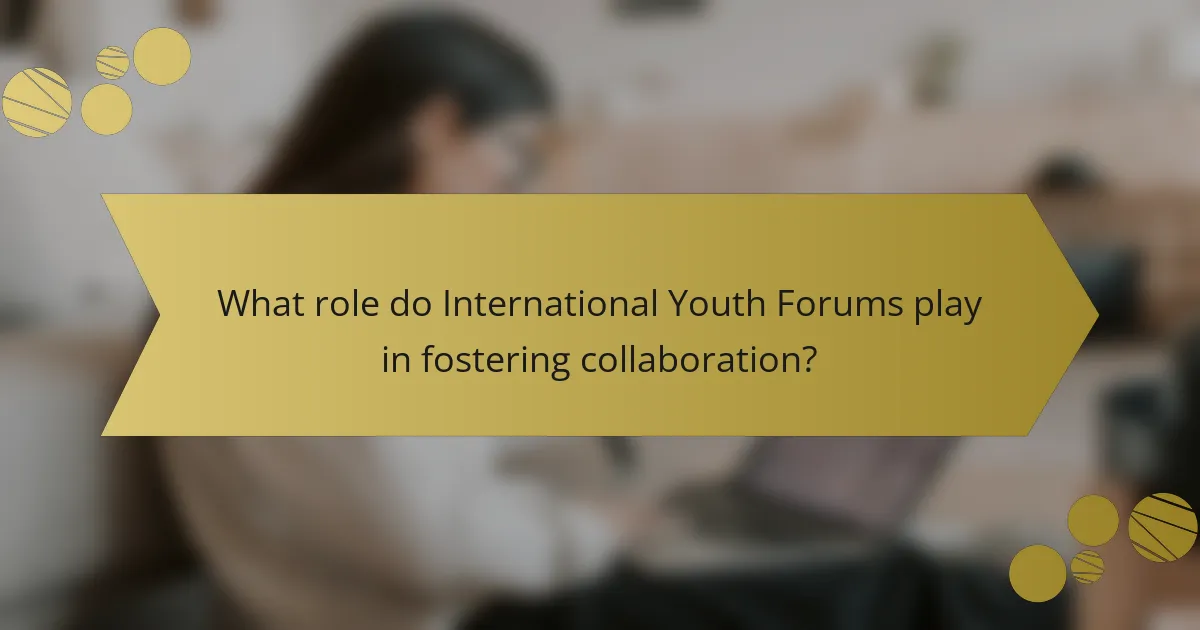 What role do International Youth Forums play in fostering collaboration?