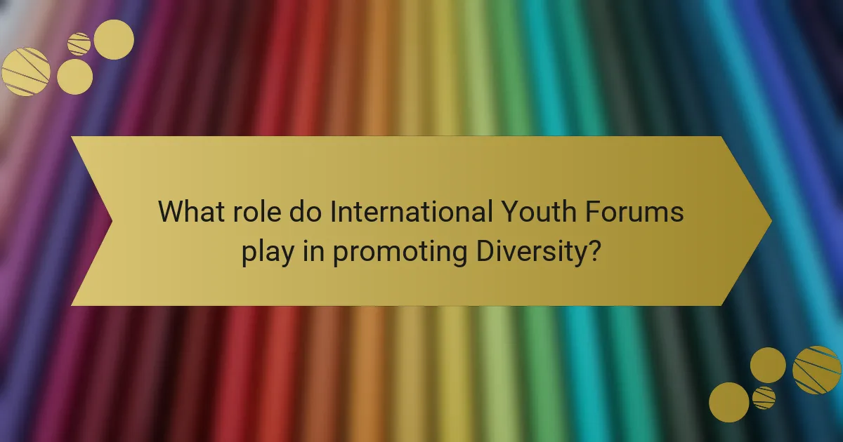 What role do International Youth Forums play in promoting Diversity?