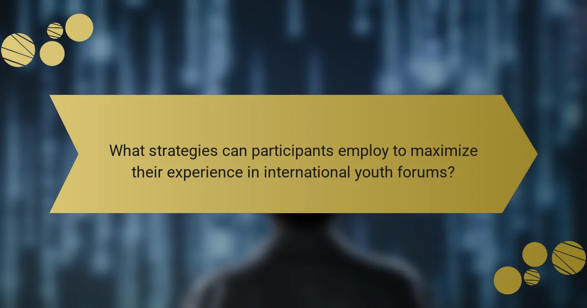 What strategies can participants employ to maximize their experience in international youth forums?