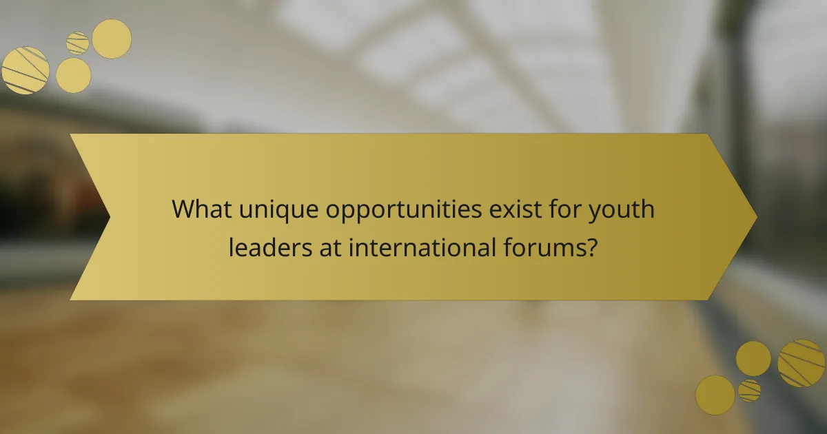 What unique opportunities exist for youth leaders at international forums?