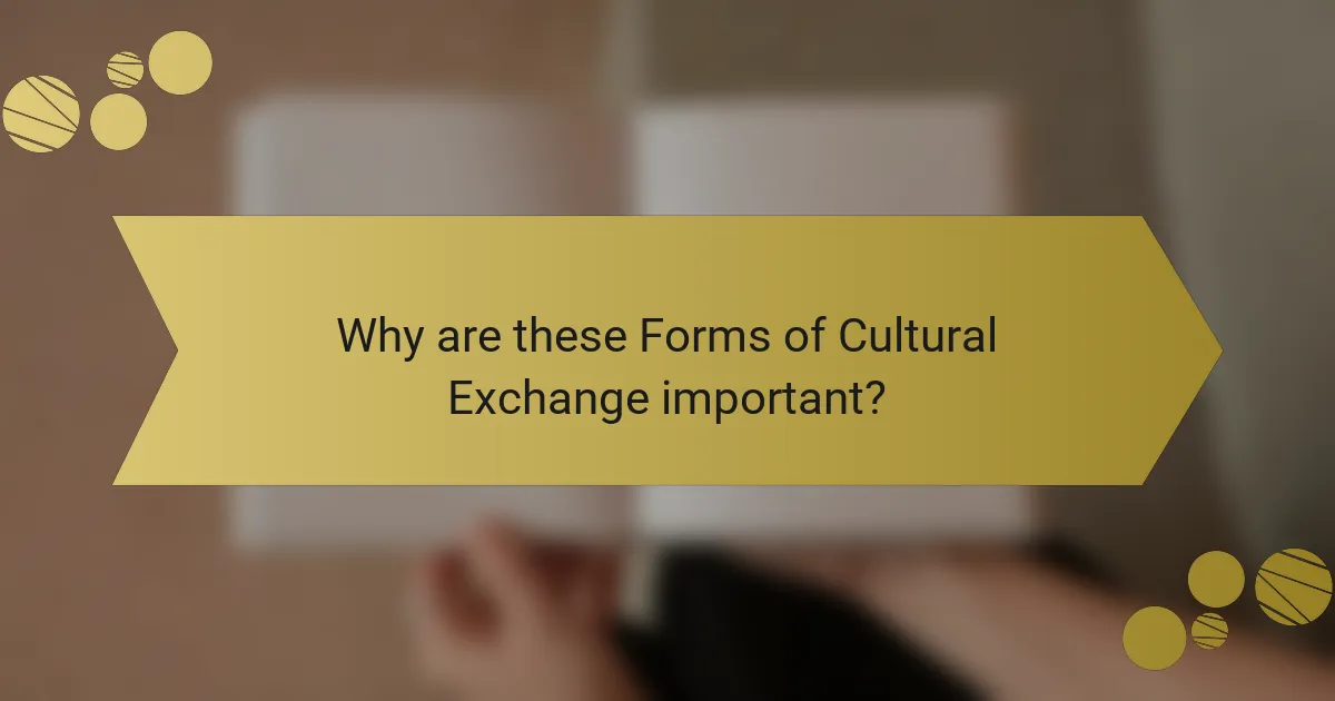 Why are these Forms of Cultural Exchange important?